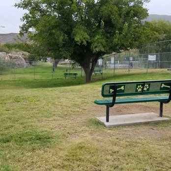 Carol Wheeler Dog Park - Large dog area - Dog Parks Near Me
