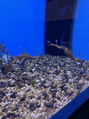 ABQ BioPark Aquarium by null