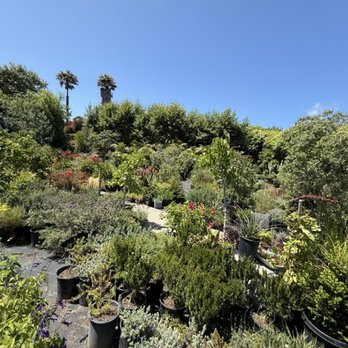 Trancas Canyon Nursery - Nurseries & Gardening Near Me - Malibu, California Trancas Canyon Nursery - Nurseries & Gardening Near Me - Malibu, California