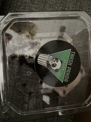 Early Bird Vegan by null