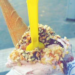 Gelateria Il Pellicano - Cheesecake Gelato