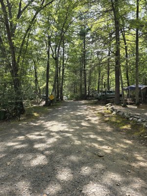 Pioneer Valley RV Campground by null