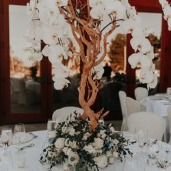 Blossom Floral