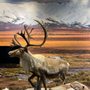 Photo of Alaska Public Lands Center