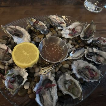 Saison Cellar & Wine Bar - Dozen Oysters - Wine Bars Near Me - San Francisco, California Saison Cellar & Wine Bar - Dozen Oysters - Wine Bars Near Me - San Francisco, California