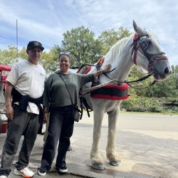 Eco Central Park Tours