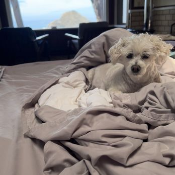 Elk Cove Inn & Spa - Twinkle enjoyed the peaceful setting - Wine Bars Near Me - Elk, California Elk Cove Inn & Spa - Twinkle enjoyed the peaceful setting - Wine Bars Near Me - Elk, California