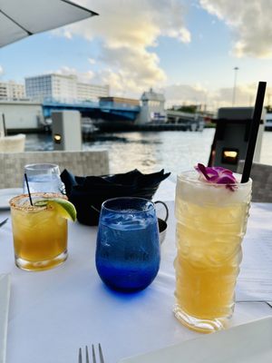 Blue Moon Fish Co. by null