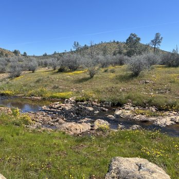 Red Hills Recreation Management Area - Parks Near Me - Jamestown, California Red Hills Recreation Management Area - Parks Near Me - Jamestown, California