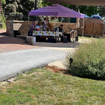 Bees N Blooms - Live music - the band. - Nurseries & Gardening Near Me - Santa Rosa, California Bees N Blooms - Live music - the band. - Nurseries & Gardening Near Me - Santa Rosa, California
