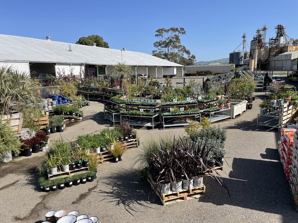 HARMONY FARM SUPPLY & NURSERY PETALUMA Updated October 2024 35