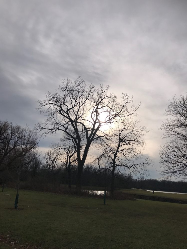 BIG BEND LAKE FOREST PRESERVE Updated September 2024 11 Photos 92