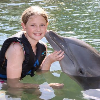 Dolphin Quest - Tours Near Me - Honolulu, Hawaii