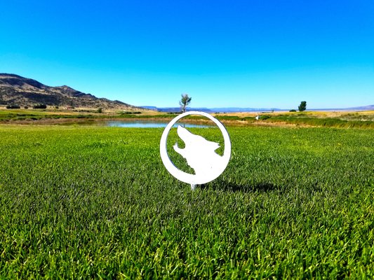 COYOTE DEL MALPAIS GOLF COURSE Updated May 2025 13 Photos 2001