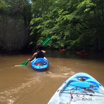 Ghost River Outfitters - More trees. - Rafting/Kayaking Near Me - Moscow, Tennessee