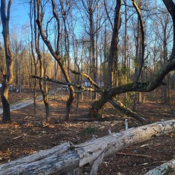 Leatherneck Land Clearing - Excavation Services Near Me - Heath Springs, South Carolina Leatherneck Land Clearing - Excavation Services Near Me - Heath Springs, South Carolina