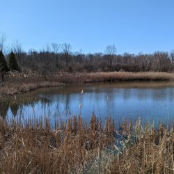 Woodland Hills Nature Park - Pond