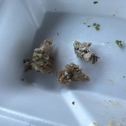 Odeh's Mediterranean Restaurant - Poor quality meat