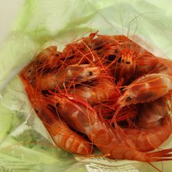 Grove Farm Market - Amaebi (deep sea shrimp) from Kainoa Fishery booth