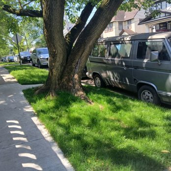 Oscar Abarca Landscaping Service - Tree Services Near Me - Queens, New York Oscar Abarca Landscaping Service - Tree Services Near Me - Queens, New York