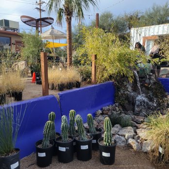 Rozet Nursery - Nurseries & Gardening Near Me - Tucson, Arizona