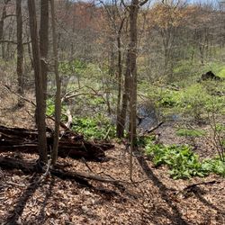 Makamah Nature Preserve