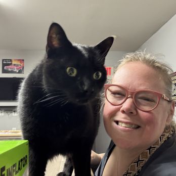 21st Century Auto - Shop cat! - Auto Repair Near Me - Toms River, New Jersey 21st Century Auto - Shop cat! - Auto Repair Near Me - Toms River, New Jersey
