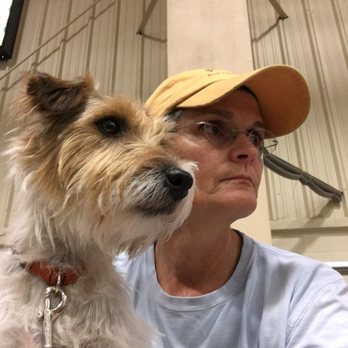 WNC K9 - Sitting a watching other dogs competing in agility. Relaxing and watching ... an essential dog skill to have. - Pet Training Near Me - Asheville, North Carolina WNC K9 - Sitting a watching other dogs competing in agility. Relaxing and watching ... an essential dog skill to have. - Pet Training Near Me - Asheville, North Carolina