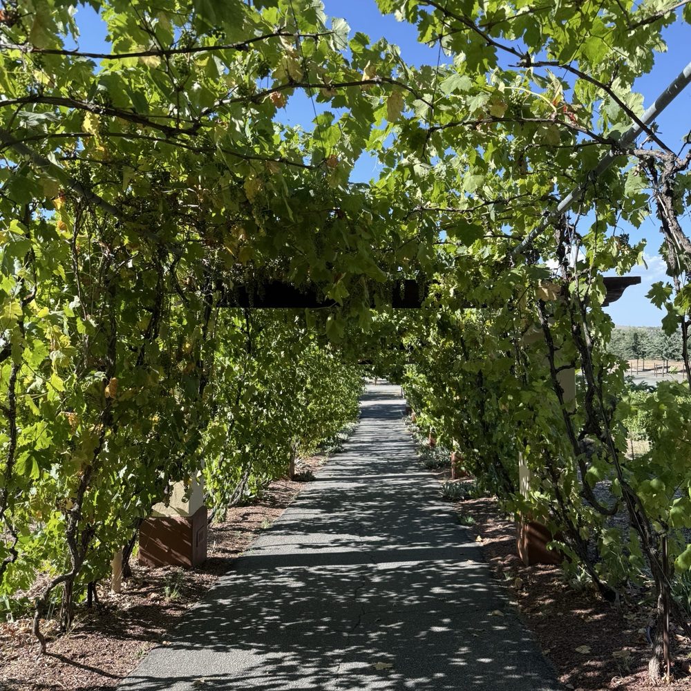 Castoro Cellars - Wineries Near Me - Templeton, California