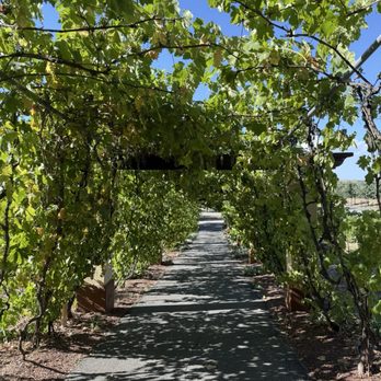 Castoro Cellars - Wineries Near Me - Templeton, California Castoro Cellars - Wineries Near Me - Templeton, California