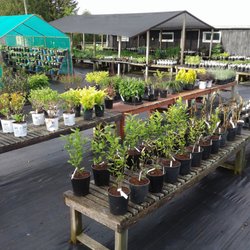 Crooked Creek Garden Center