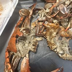 BP Seafood
