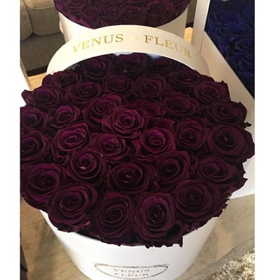 Venus et Fleur- Oculus World Trade Center Boutique by null