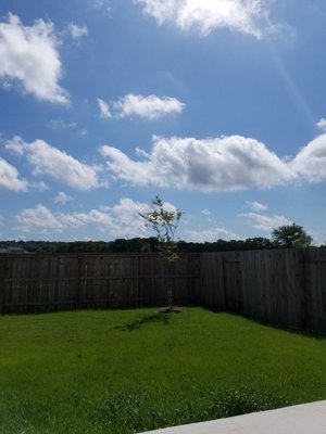 Orchard Ridge Community, Texas by null