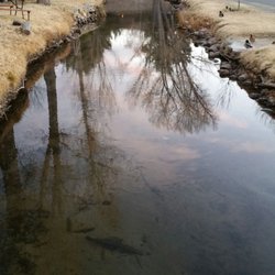 J Diamond Mobile Ranch
