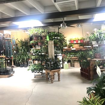 Sunset Gardens - Nurseries & Gardening Near Me - El Paso, Texas