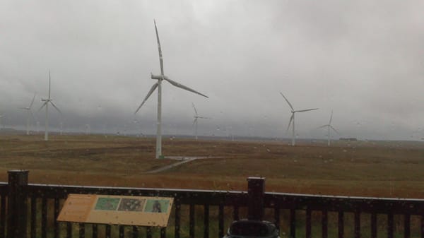 Whitelee wind farm by null