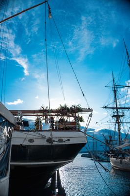 Broadway Pier/Port Pavilion by null