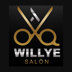 Willye Salon - Logo