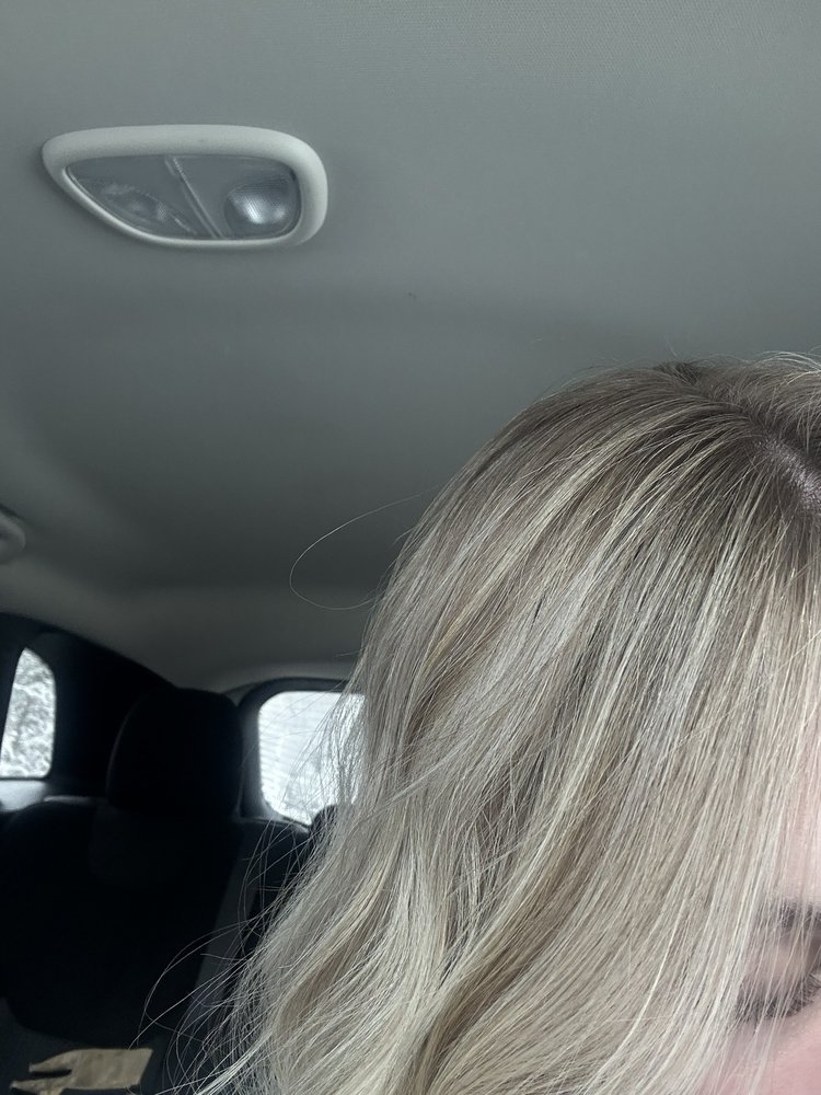 la vie en rose salon Logo