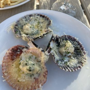 Little Em's Oyster Bar - Scallops - Seafood Near Me - San Antonio, Texas Little Em's Oyster Bar - Scallops - Seafood Near Me - San Antonio, Texas