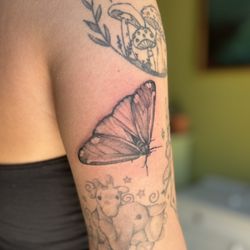 user provided Albatross Tattoo photo