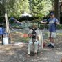 Sonoma Bubble Man
