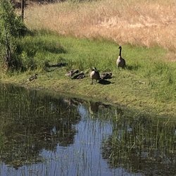 Rockville Hills Regional Park - Babies