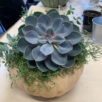 Urban Artisan - Art Classes Near Me - Eugene, Oregon