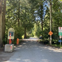 Willingdon Beach Campsite