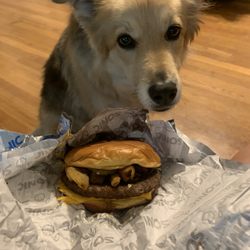 Sonic Drive-In - The dill pickle burger and a cute pup