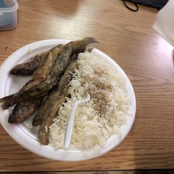 All Native Tournament