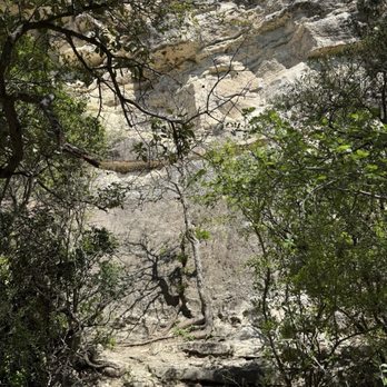 Violet Crown Trail - Rick wall on side of trail - Hiking Near Me - Austin, Texas
