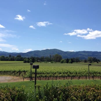 Mumm Napa - The view from the tasting tables. - Wine Tasting Room Near Me - Rutherford, California